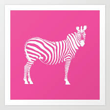 Big Pink Zebra Art Print By Ilrious