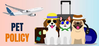 united airlines pet policy 1 844 673