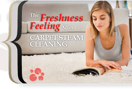 carpet cleaning denver co