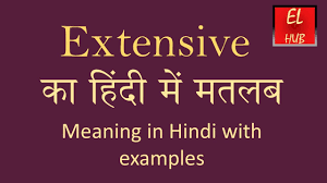 extensive meaning in hindi you