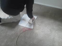 carpet cleaning stafford virginia