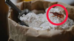 your flour from weevils floura recipe