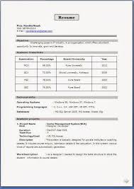 Example Template of an Excellent Computer Science Engineer Experienced resume  format with great job profile and