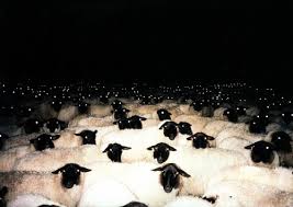 Image result for creepy sheep
