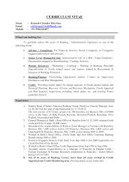 Corporate Banking Manager Resume Templates At
