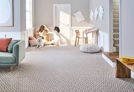 pet perfect carpet by anderson tuftex