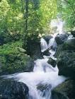 น้ำตกโตนเพชร Ton Phet Waterfall