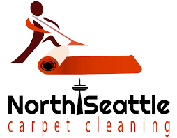 carpet cleaning 4 areas support