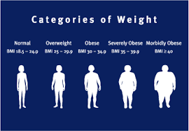26 Memorable What Is Considered Obese Chart