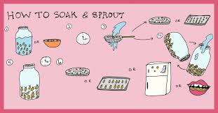 An Illustrated Guide Benefits To Soaking And Sprouting