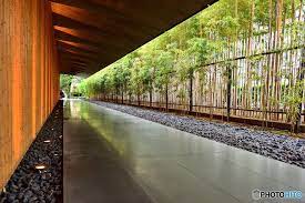 芸術の秋 は美術館でお茶しよう 東京都内 アート空間に併設するおしゃれカフェ7選 キナリノ 竹の庭 有機的建築 竹の建築物