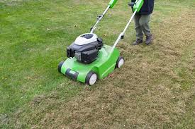 dethatching and power raking your lawn
