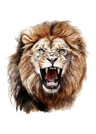 roaring lion watercolor painting