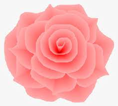 light pink rose png transpa png
