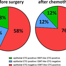 Phenotypic Overlap Of Epithelial And Emt Like Ctcs The Pie