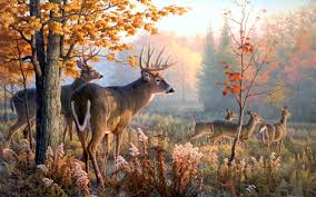 deer desktop wallpaper 82 pictures