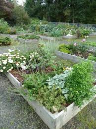 16 vegetable gardening nc state