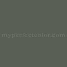 Behr 710f 6 Painted Turtle Precisely
