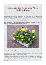bedding plants pdf
