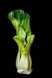 Is there another name for bok choy?