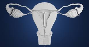 how iuds work the diffe types and