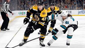 Image result for stanley cup 2019