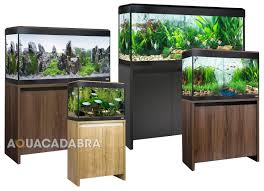 Details About Fluval Roma Led Aquariums 90 125 200 240l Oak Walnut Black New Cabinet Fish Tank
