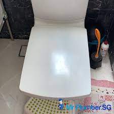 Toilet Seat Replacement Plumber