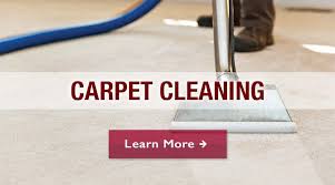 carpet cleaning rochester mi