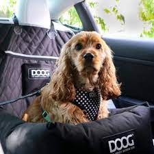 Dog Booster Seat For Your Pet