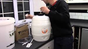 micro brewery home brew beer starter