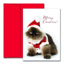 Christmas is a time to sincerely show your family how much you love them, but there's room for humor, too! Cat And Dog Christmas Card Ideas