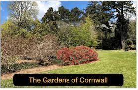 Northwood Water Gardens Visit Cornwall Tv