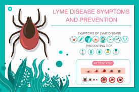 lyme disease health care provider