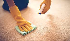 carpet deodorizer how to neutralize