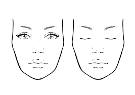 538 makeup face chart vector images