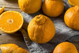 sumo oranges nutrition benefits and
