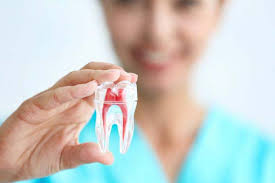 Ask your doctor about what medicines to take and at what time. How To Prepare For A Root Canal Treatment