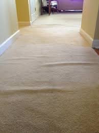 carpet cleaning encap supplies