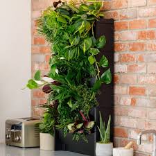 Plantbox Indoor Living Wall With