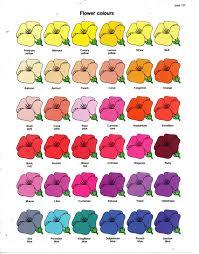Flower Color Chart Art Glitter Colorful Flowers