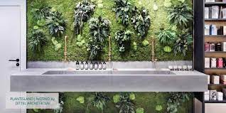 Moss And Plant Walls Stylegreen English