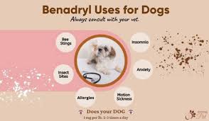 puppy dose of benadryl heavy trade