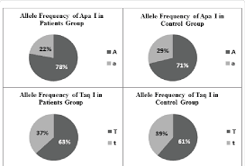 Pie Charts Showing Apa I And Taq I Allele Frequencies In