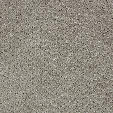 polaris pattern carpet stellar