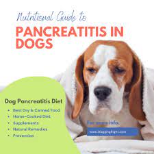 feed a dog with pancreais naturally