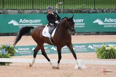23 Best Tryon2018 Horse Health Images In 2018 Equestrian
