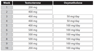 Steroid Cycles Basics And Example Programs Anabolic Org