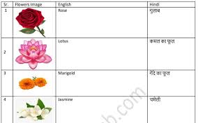 100 flowers name in hindi and english