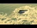 Vritable sirne sur la plage de Venice Beach - vido Dailymotion